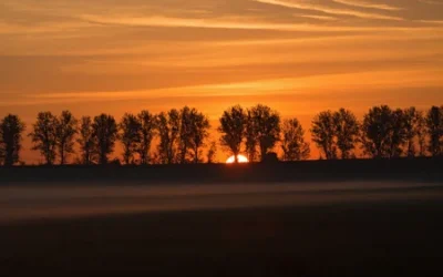 Week #22 Muziek: Morgenstimmung / Ochtendstemming