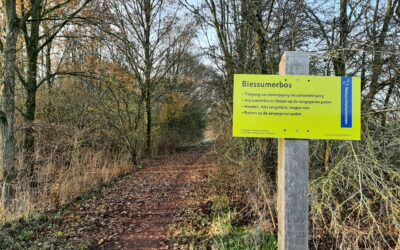 Update Belevingspad Biessumerbos