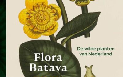 Week #23 Erfgoed: Kan een boek ook erfgoed zijn?